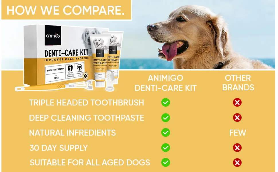 denti-care-kit-info-ani-uk-new-1