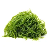 Seaweed