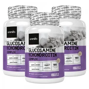 Glucosamine & Chondroitin